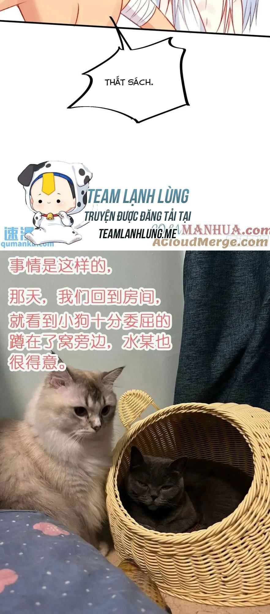 Thú Thế Ngọt Sủng, Tôi Ở Dị Giới Làm Vũ Thần Chương 36 Ảnh 44