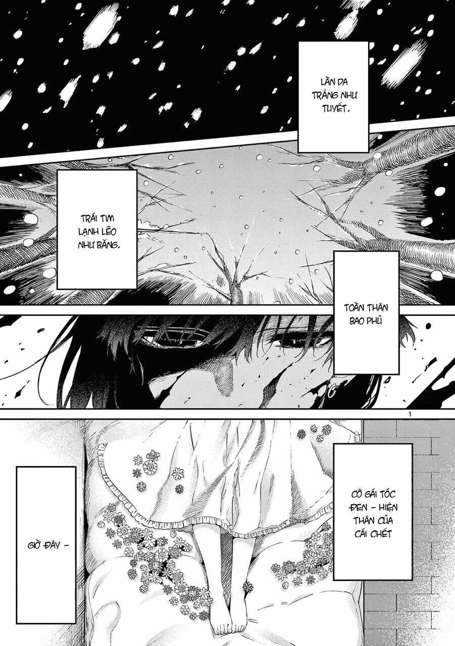 Kimi Wa Meido-Sama Chương 45 Ảnh 4