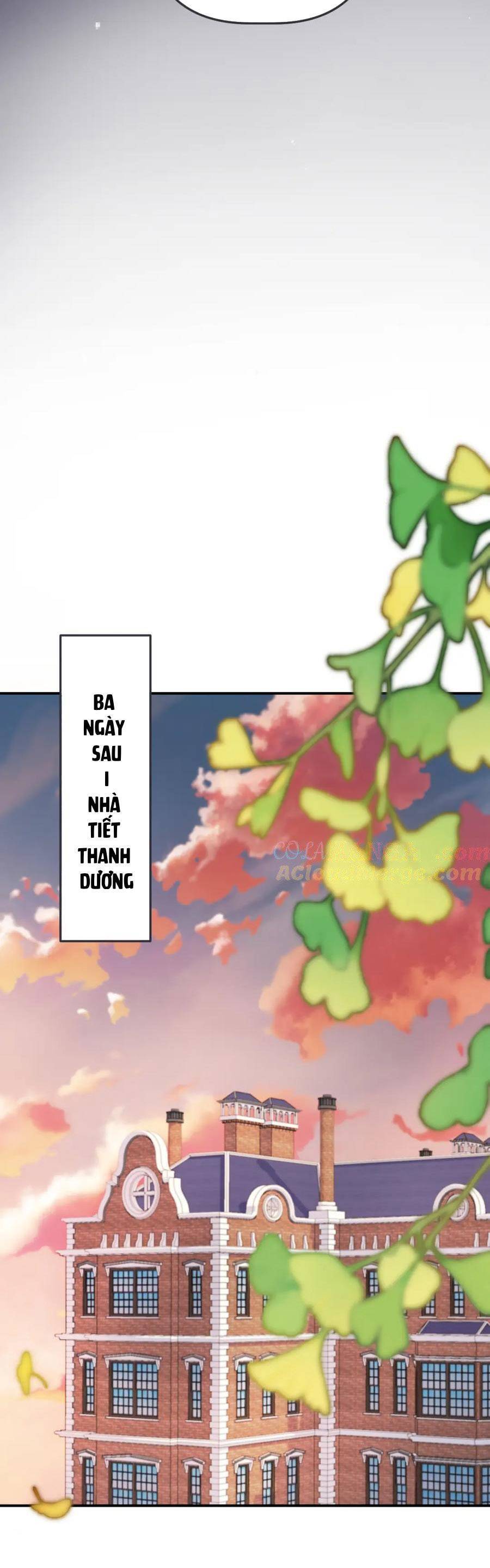 Lâu Tiểu Thư, Lại Gặp Nhau Rồi Chương 144 Ảnh 28