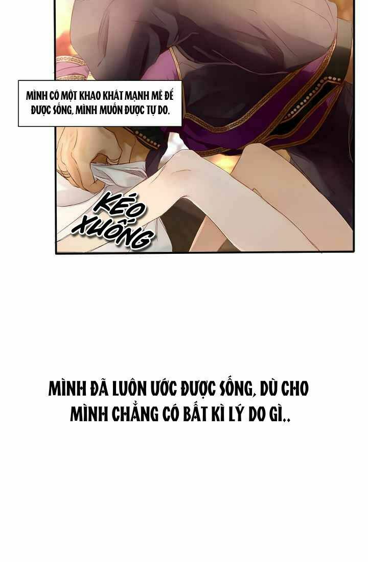 Đoá Hoa Kiều Diễm Của Hoàng Đế Chương 1 Ảnh 45