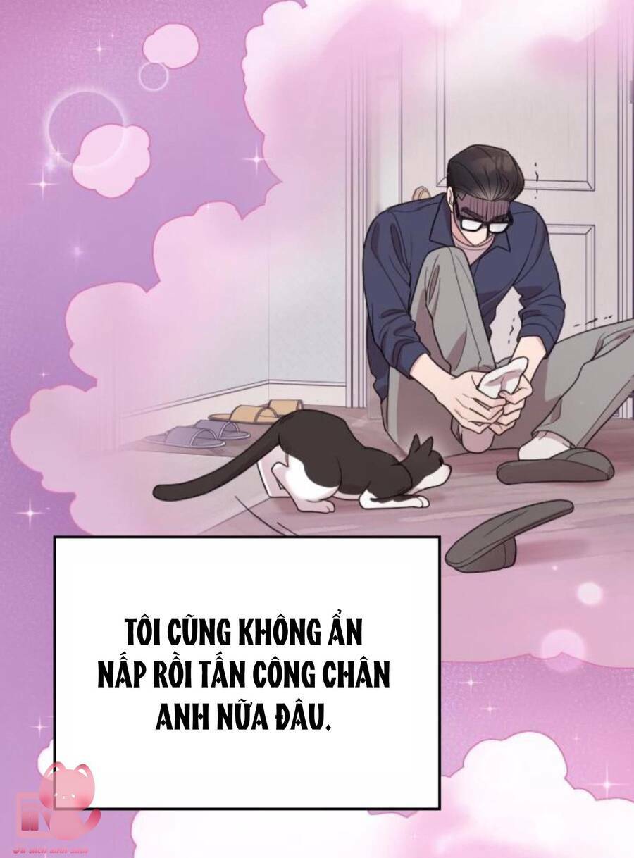 Cô Đi Mà Lấy Chồng Tôi Đi Chương 67 Ảnh 97