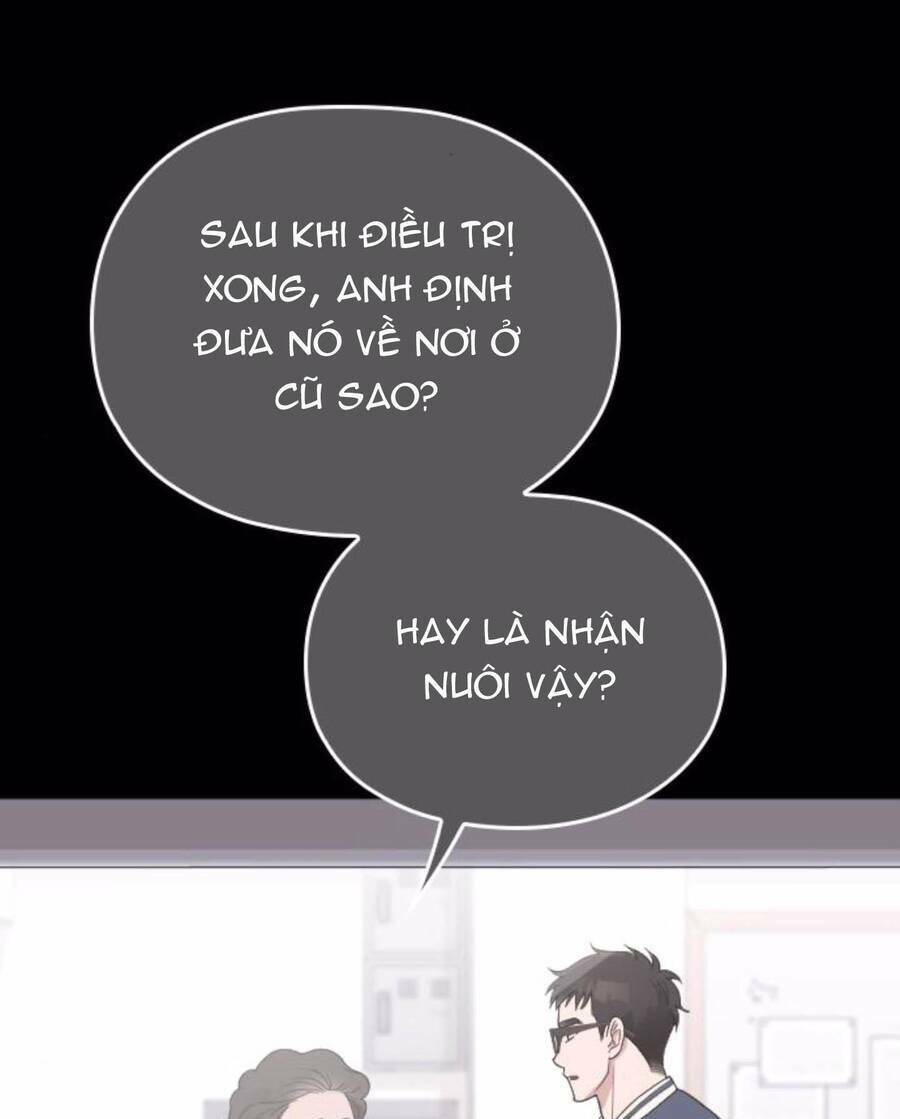 Cô Đi Mà Lấy Chồng Tôi Đi Chương 67 Ảnh 56