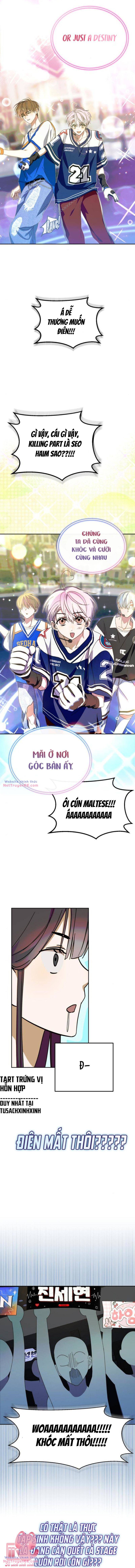 Tôi Trở Thành Thành Viên Trẻ Tuổi Nhất Nhóm Nhạc Idol Nam Chương 17 Ảnh 12