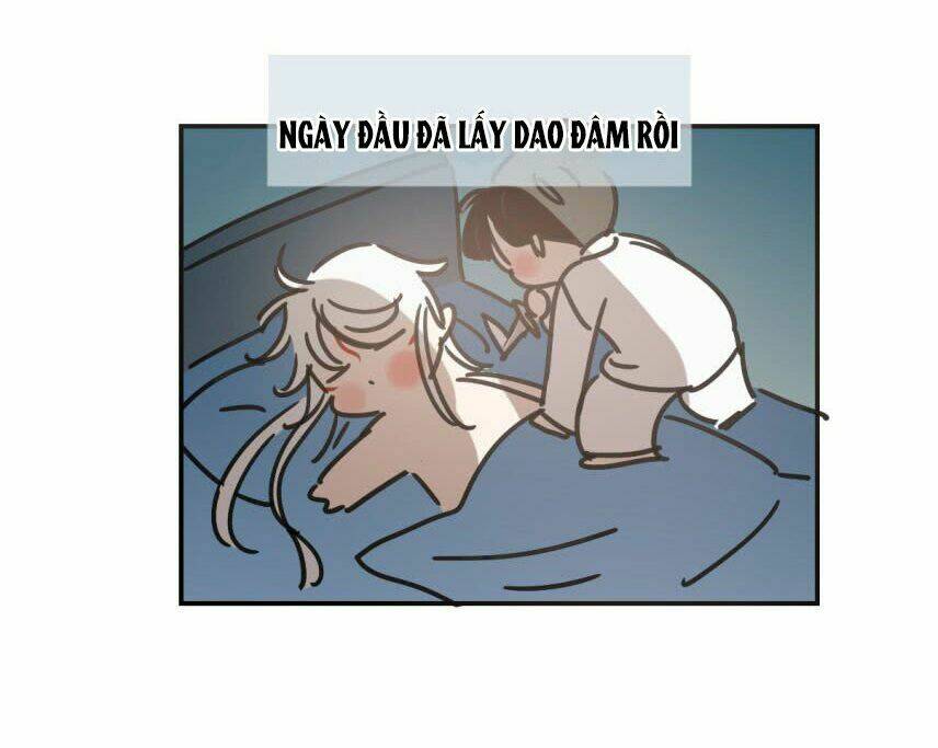 Truy Bắt Ngao Ngao Chương 22 Ảnh 51