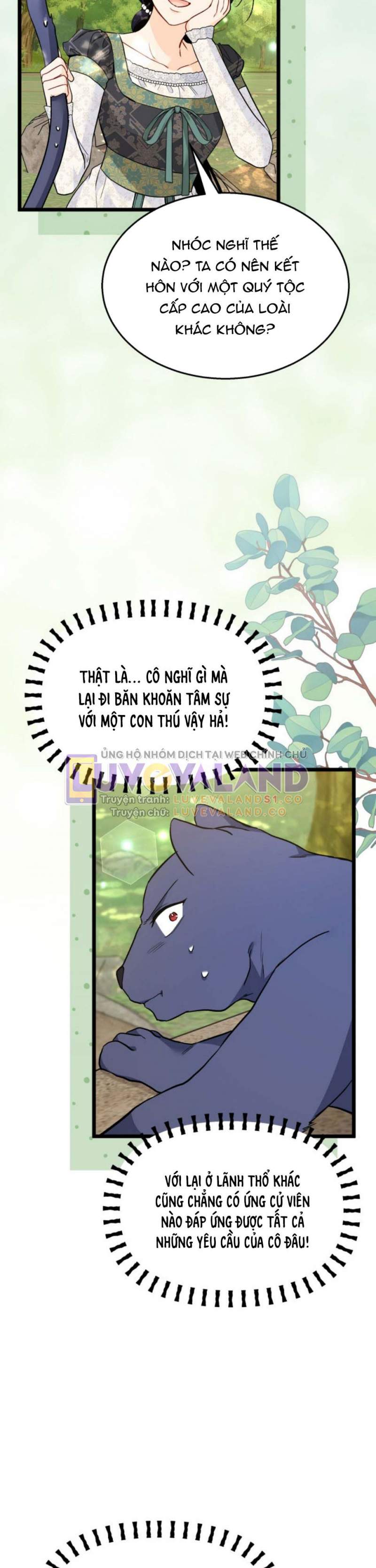 Mối Liên Kết Giữa Báo Đen Và Bé Thỏ Chương 153 Ảnh 37