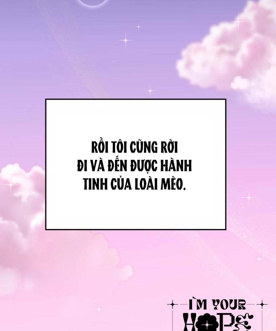 Cô Đi Mà Lấy Chồng Tôi Đi Chương 67 Ảnh 94