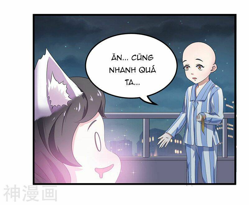 Quy Luật Năm Bản Mệnh Của Hồ Ly Chương 2 Ảnh 7