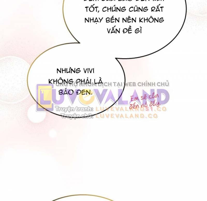 Mối Liên Kết Giữa Báo Đen Và Bé Thỏ Chương 157 Ảnh 9