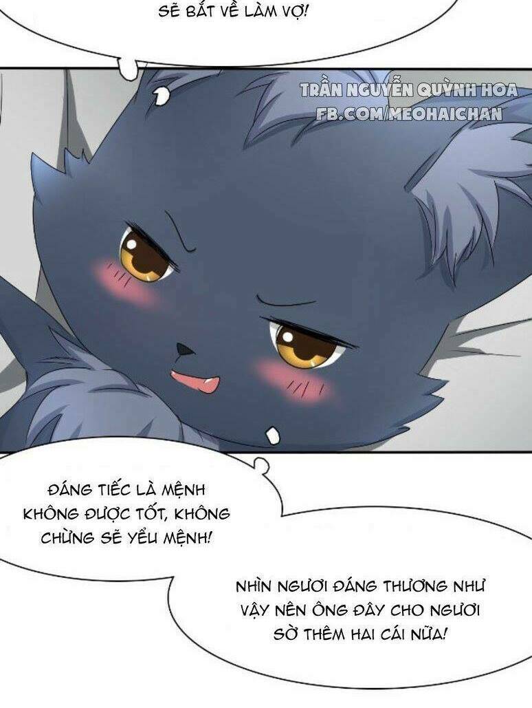 Đạo Sĩ Cưới Ta Đi! Chương 1 Ảnh 25