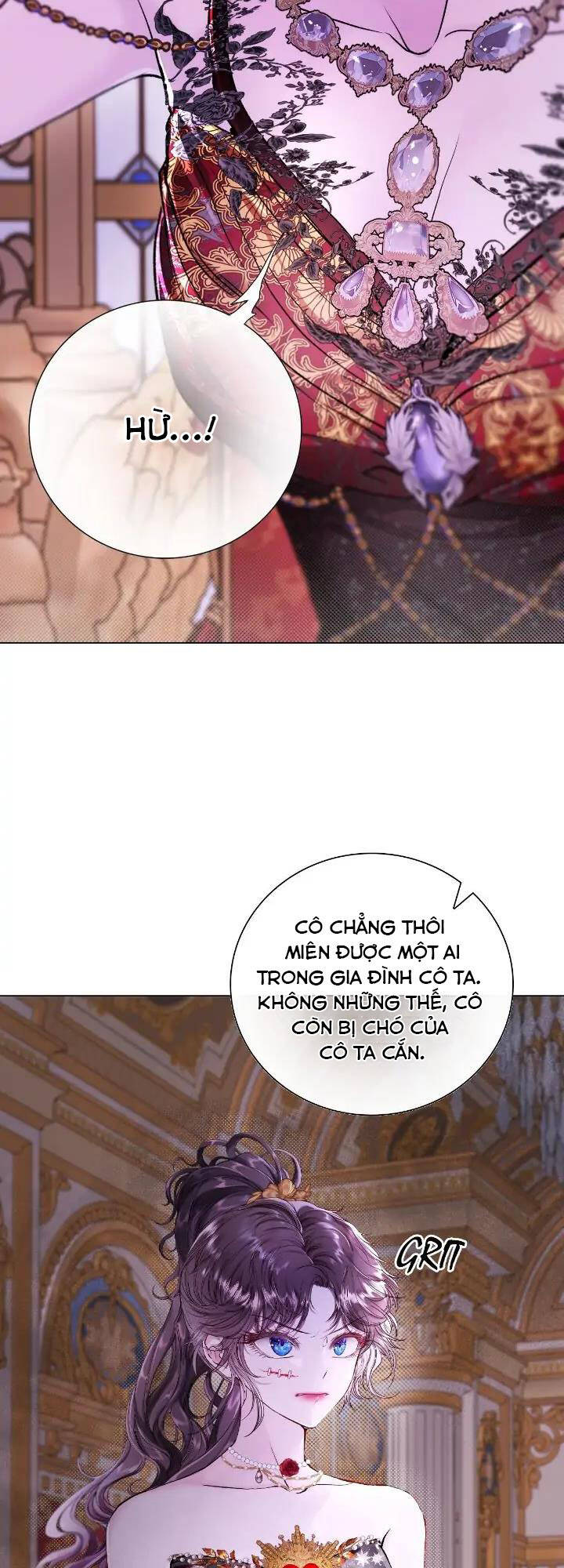 Trở Thành Tiểu Thư Xấu Xí Chương 108 Ảnh 5