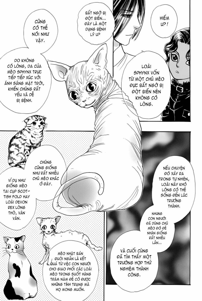 New Pet Shop Of Horror Chương 10 Ảnh 17