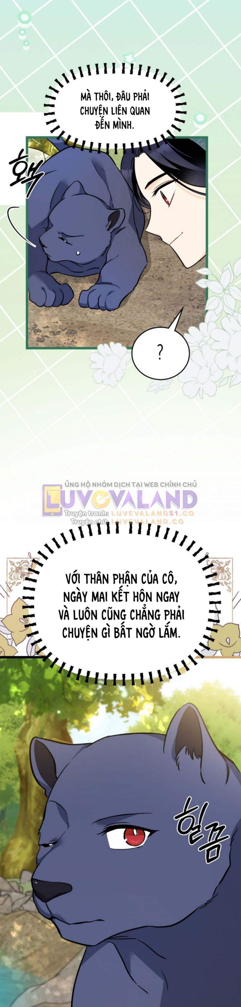 Mối Liên Kết Giữa Báo Đen Và Bé Thỏ Chương 153 Ảnh 18