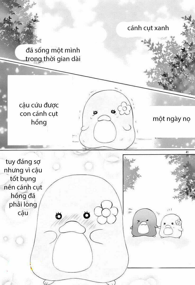 Cuộc Gặp Gỡ Diệu Kỳ Chương 74 Ảnh 13