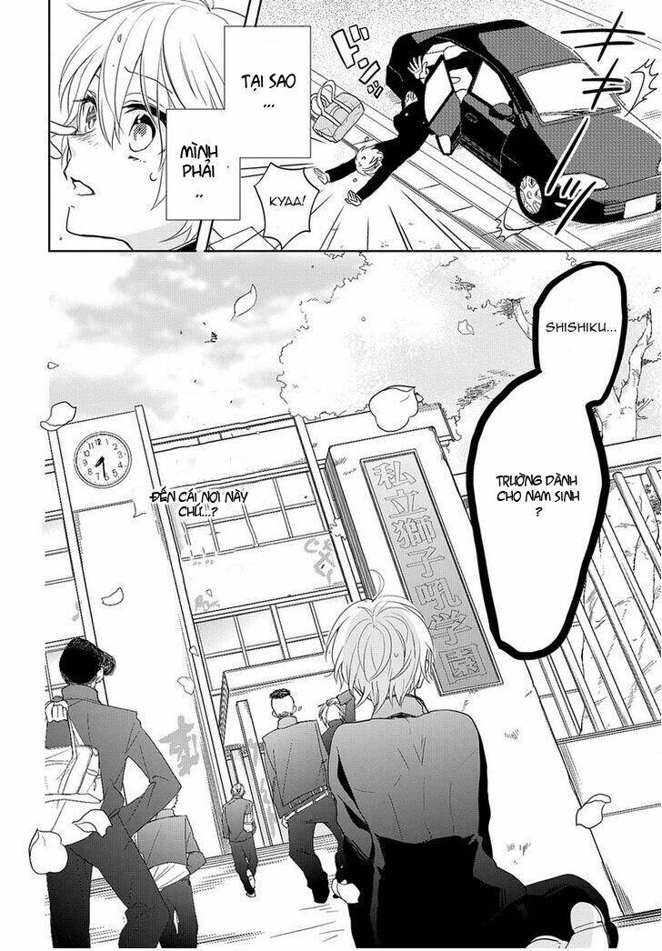 Kenka Banchou Otome - Koi No Battle Royal Chương 2 Ảnh 10