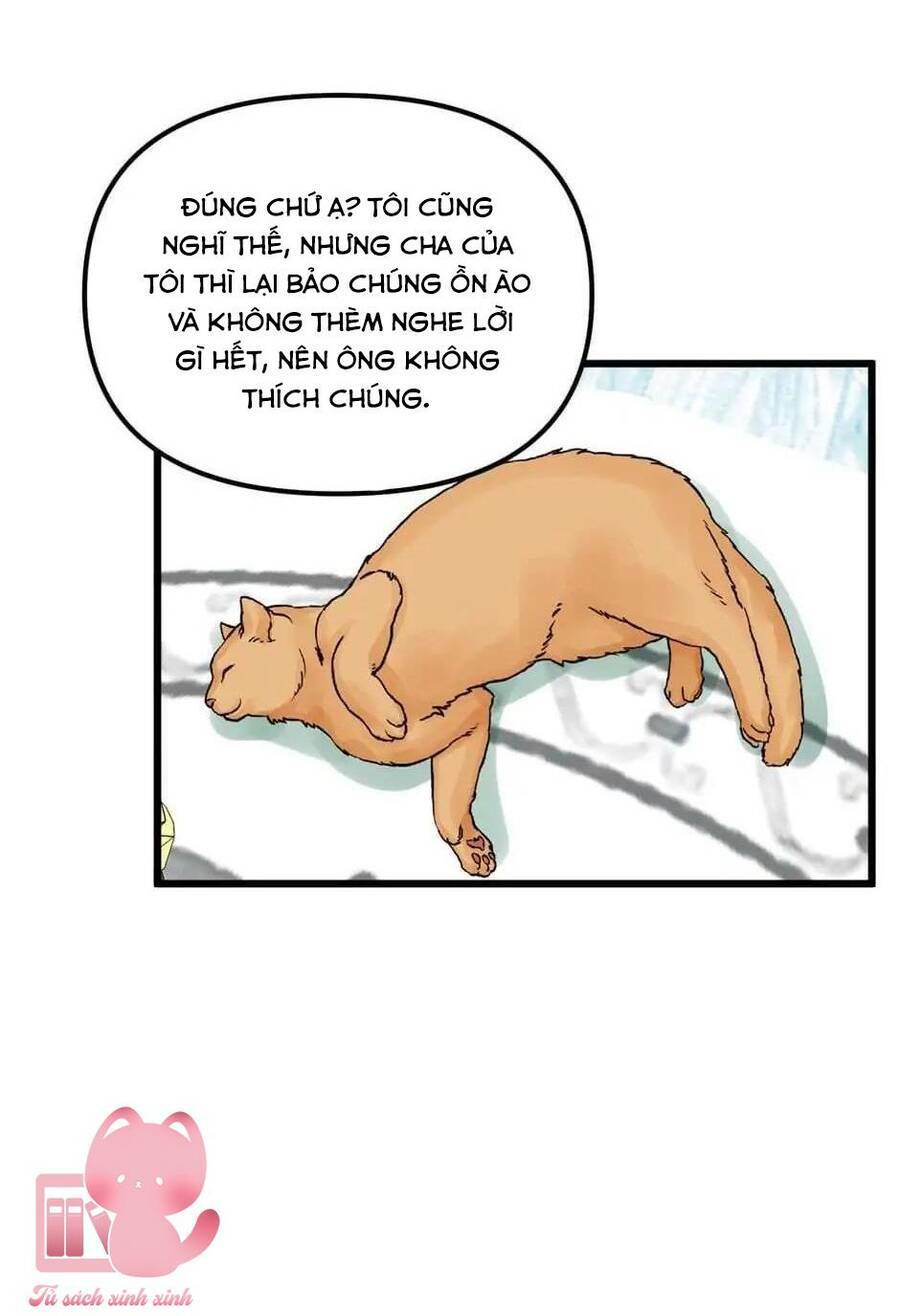Công Chúa Bãi Rác Chương 64 Ảnh 63