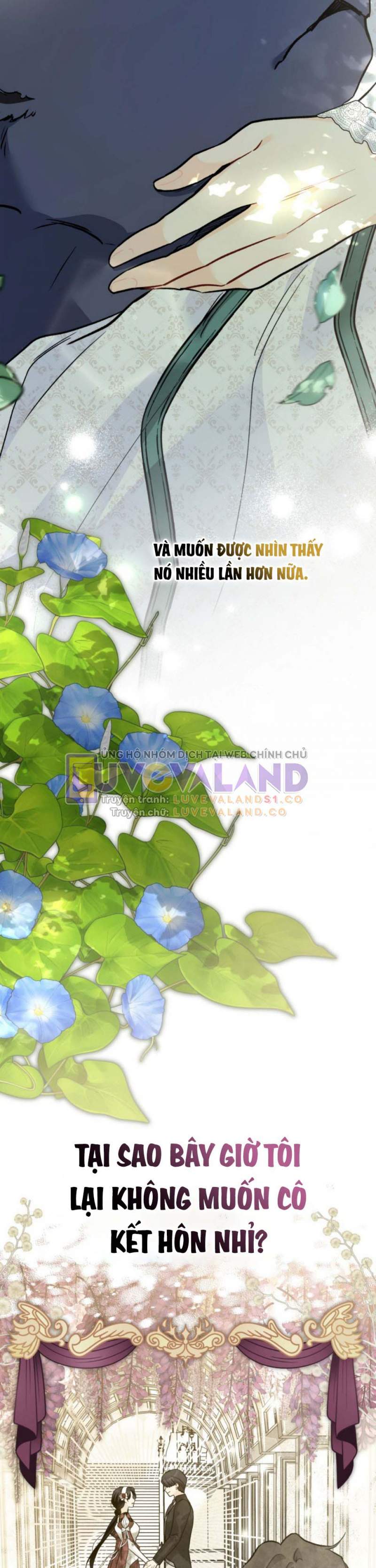 Mối Liên Kết Giữa Báo Đen Và Bé Thỏ Chương 153 Ảnh 33