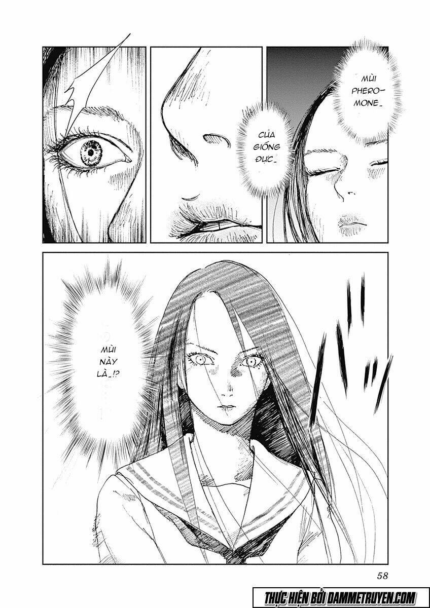 Mushihime - Nữ Chúa Côn Trùng Chương 2 Ảnh 15