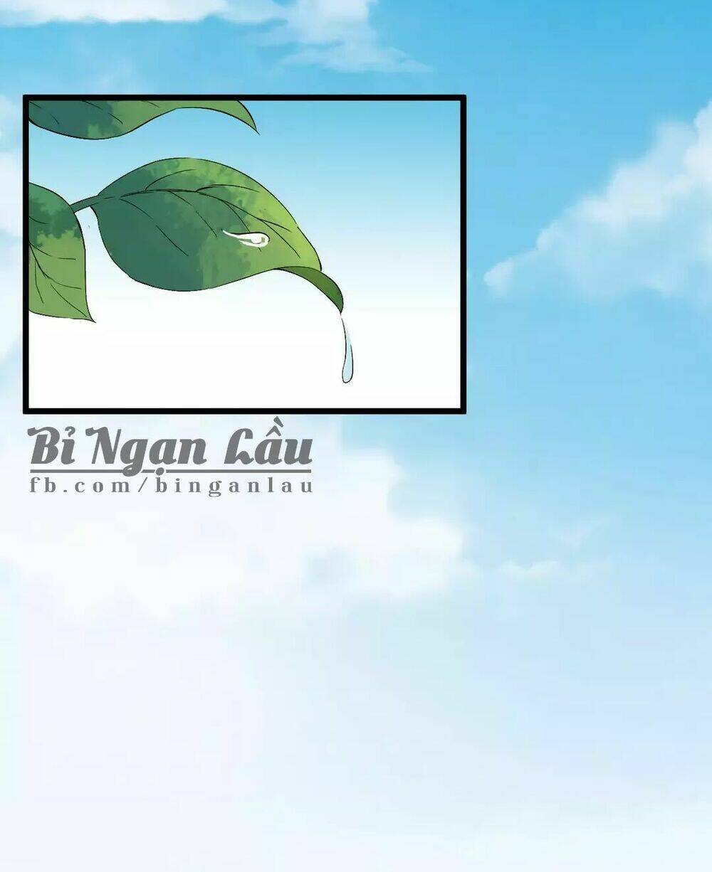 Bồng Sơn Viễn Chương 53 Ảnh 4