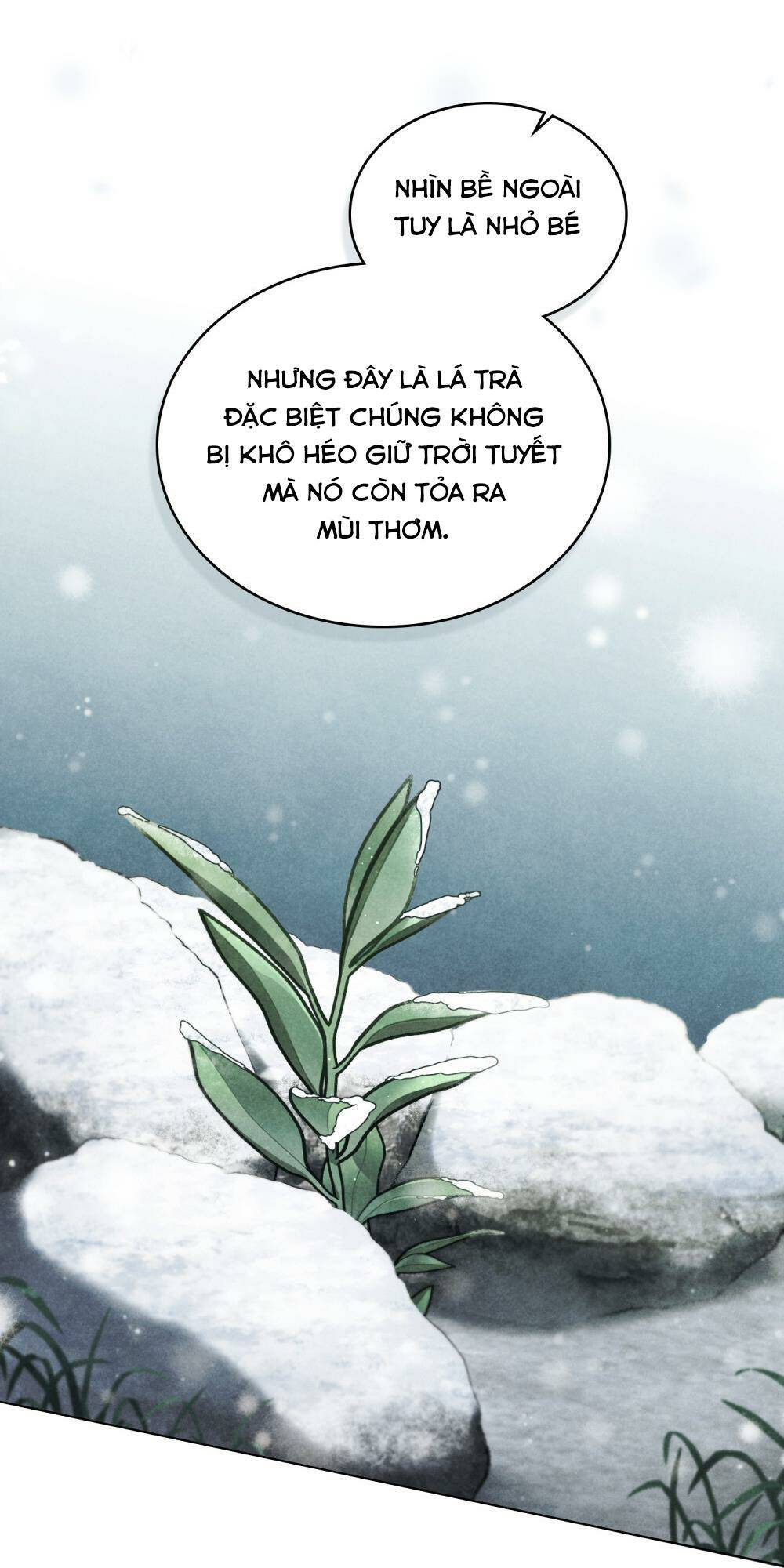 Cuộc Hôn Nhân Chính Trị Với Kẻ Thù Dịu Dàng Chương 25 Ảnh 57