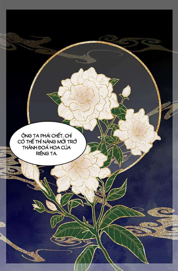 Đoá Hoa Kiều Diễm Của Hoàng Đế Chương 9 Ảnh 10