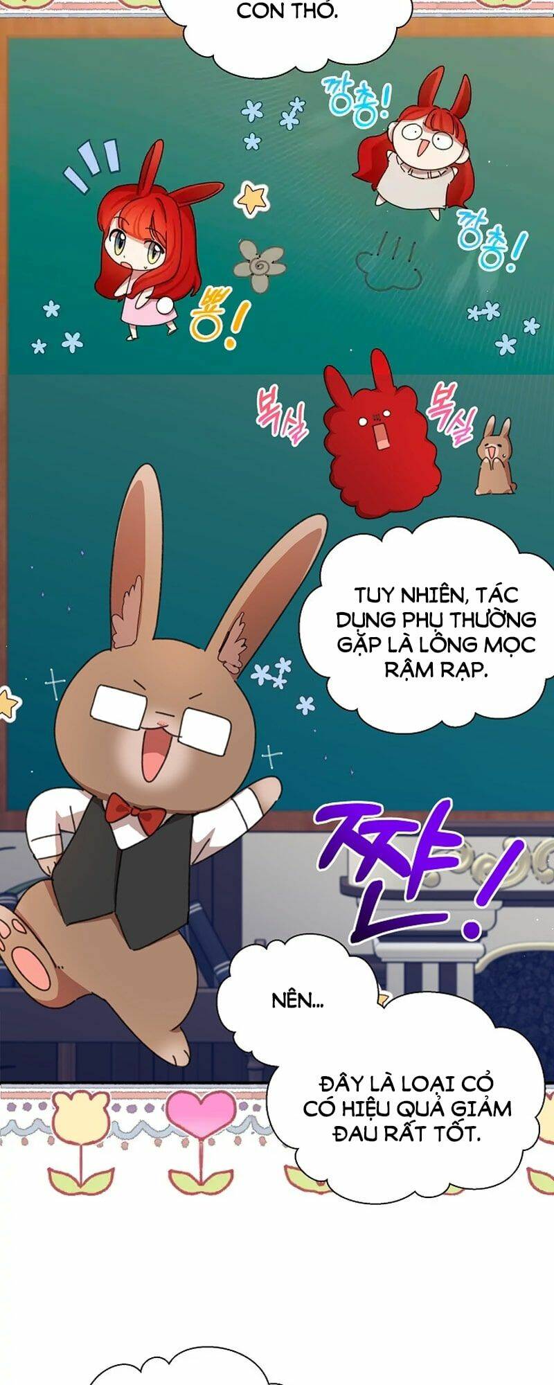 Tôi Đã Vô Tình Quyến Rũ Em Trai Của Nam Chính Chương 13 Ảnh 7