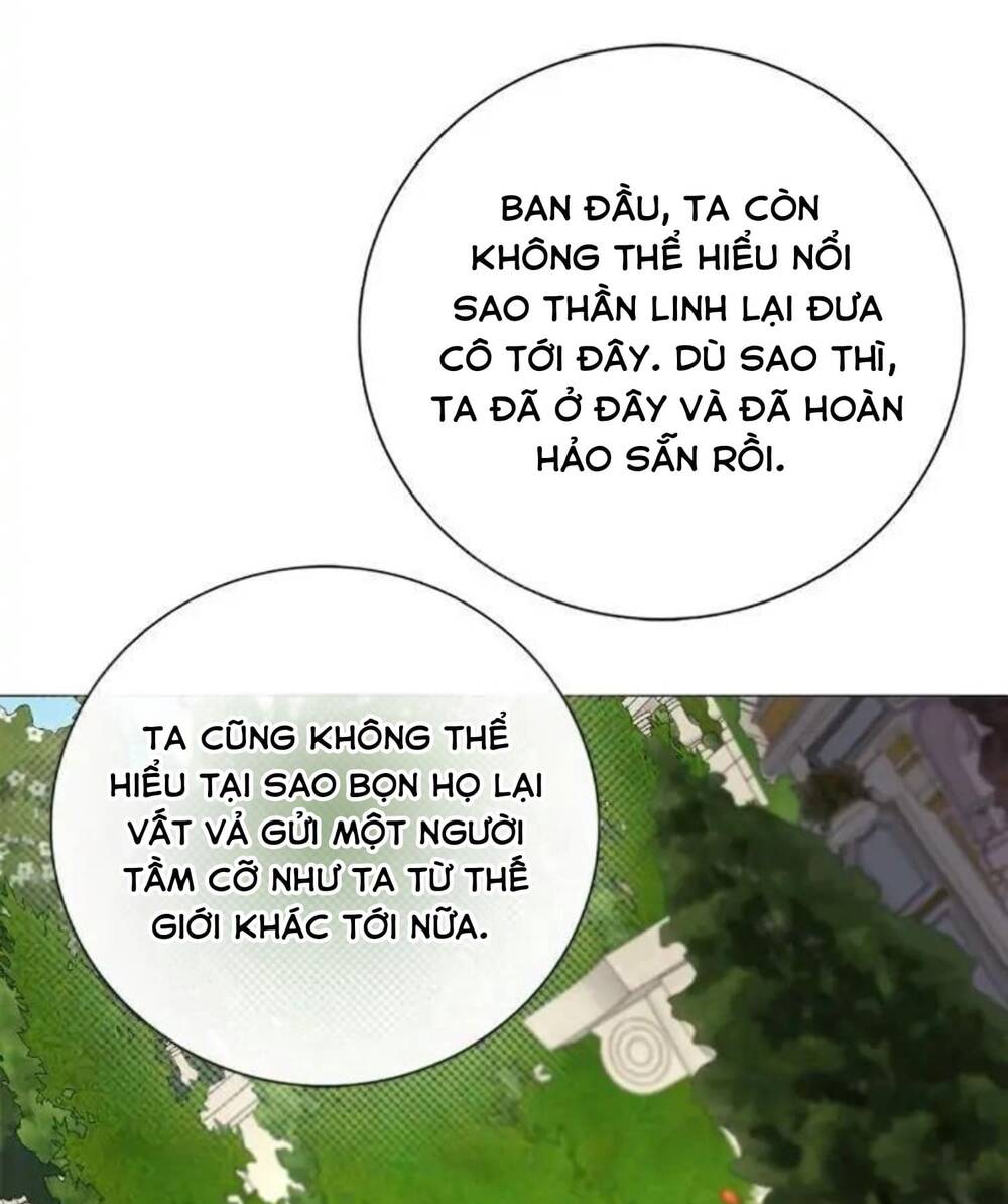 Trở Thành Tiểu Thư Xấu Xí Chương 117 Ảnh 72