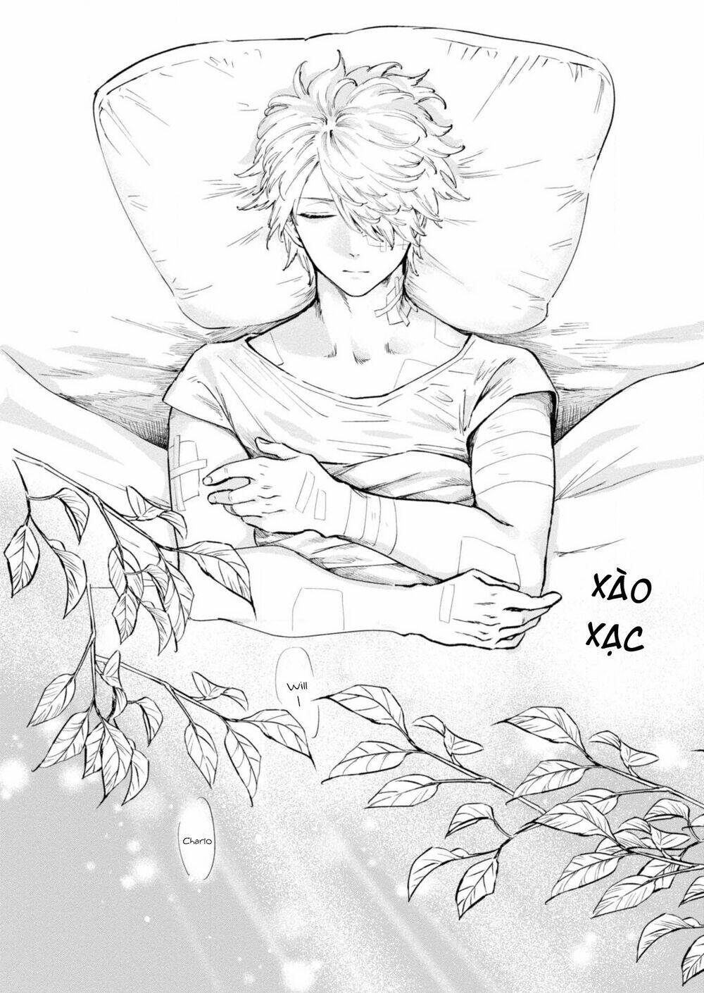Itoshi No Ko, Charlotte Chương 17 Ảnh 4