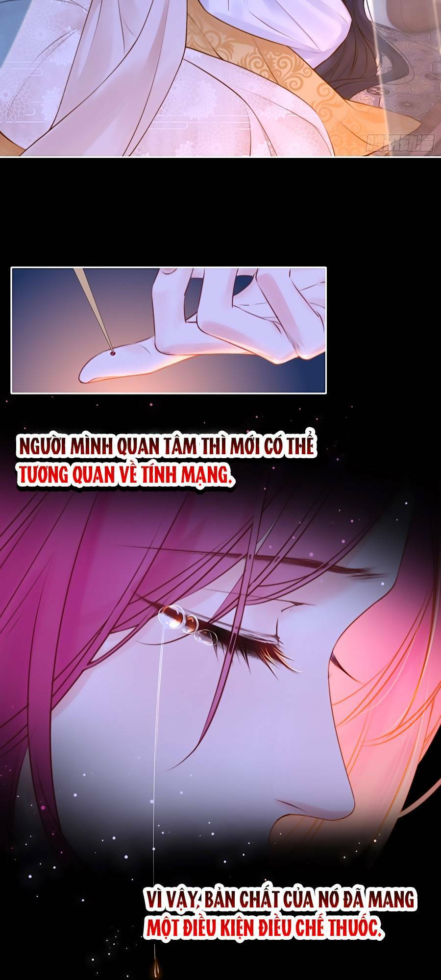 Kim Ốc Tàng Kiều Chương 82 Ảnh 30