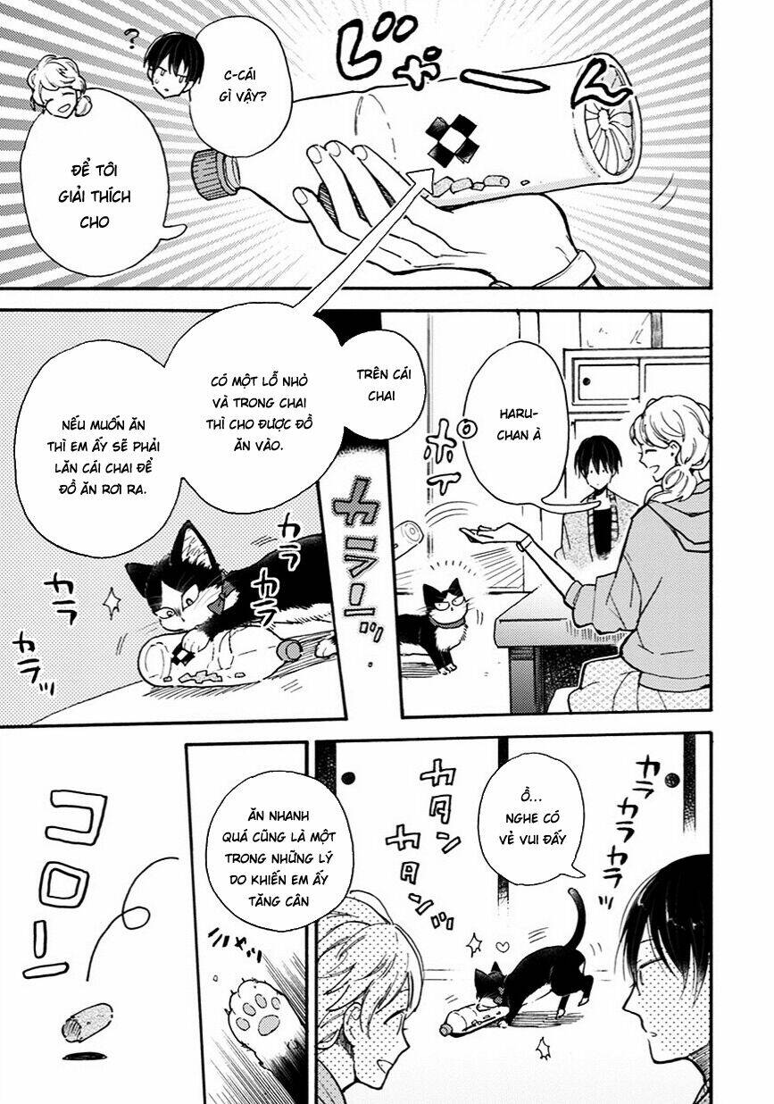  Doukyonin Wa Hiza, Tokidoki, Atama No Ue Chương 8 Ảnh 12