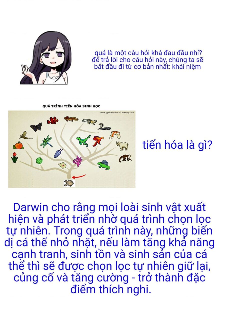 Mọi Người Đều Đến Từ Thế Giới Khác, Ngoại Trừ Tôi!? Chương 7.5 Ảnh 6