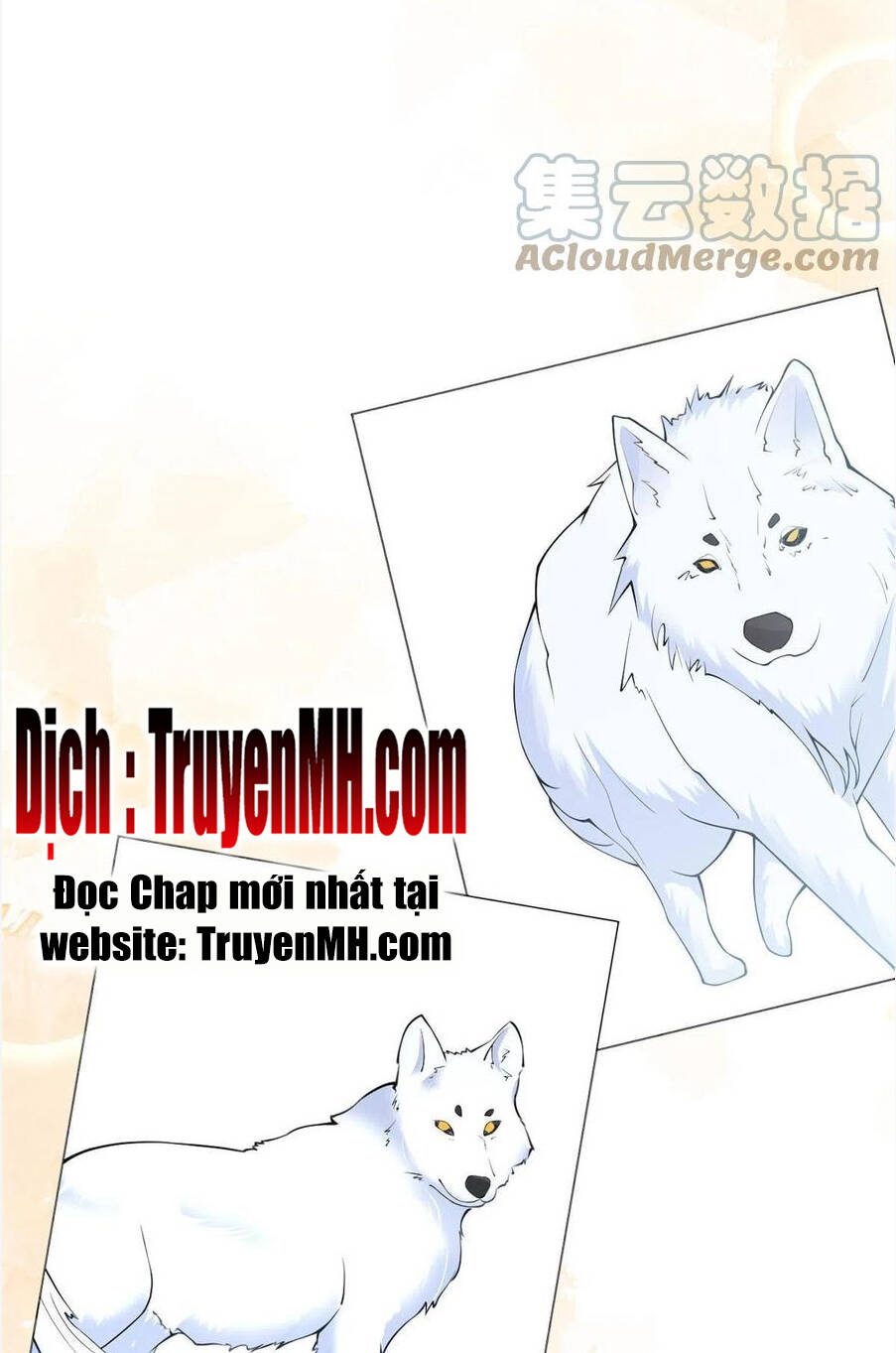 Ta Có Năm Đại Lão Ba Ba Chương 306 Ảnh 4