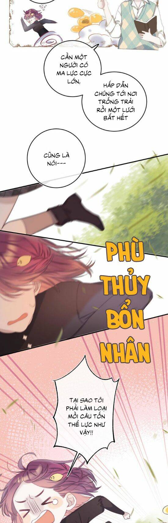 Quả Táo Của Anh Chương 11 Ảnh 15