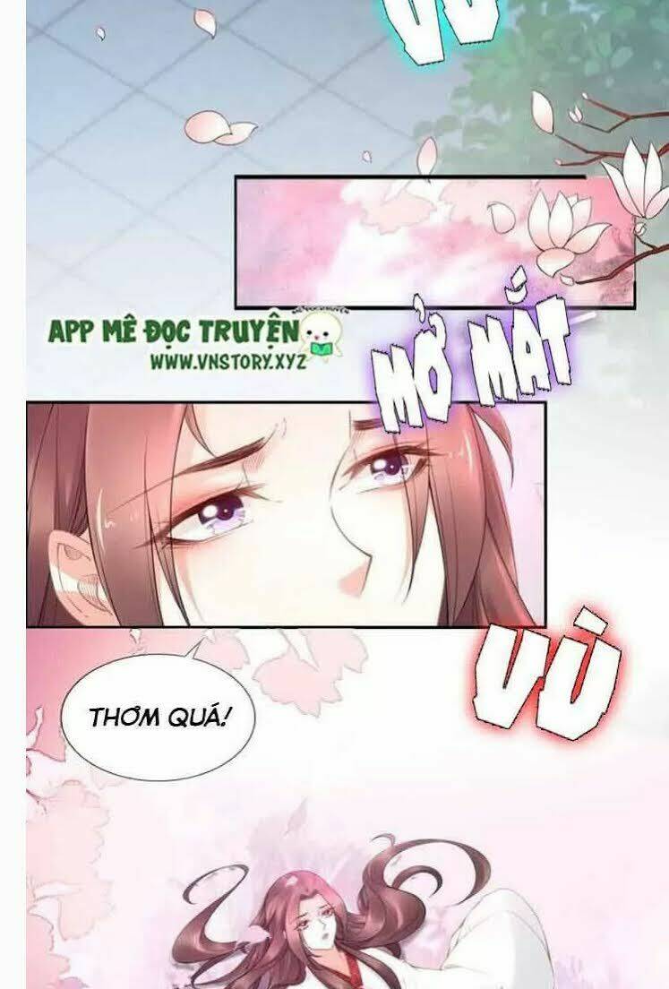 Nhất Sinh Nhất Thế Tiếu Thương Khung Chương 101 Ảnh 13
