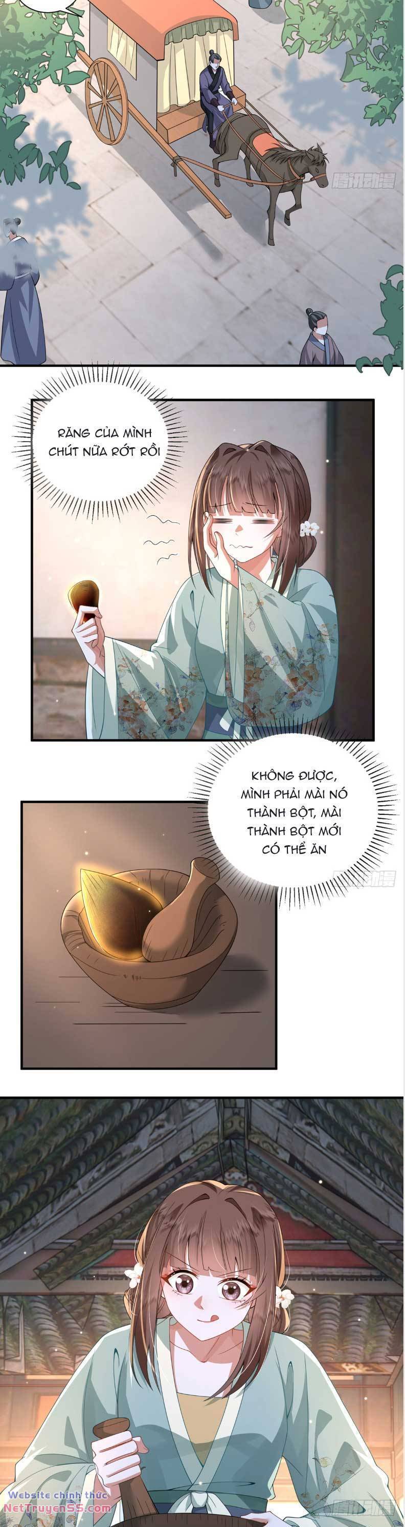 Phượng Hoàng Quy Hồi Chương 20 Ảnh 15
