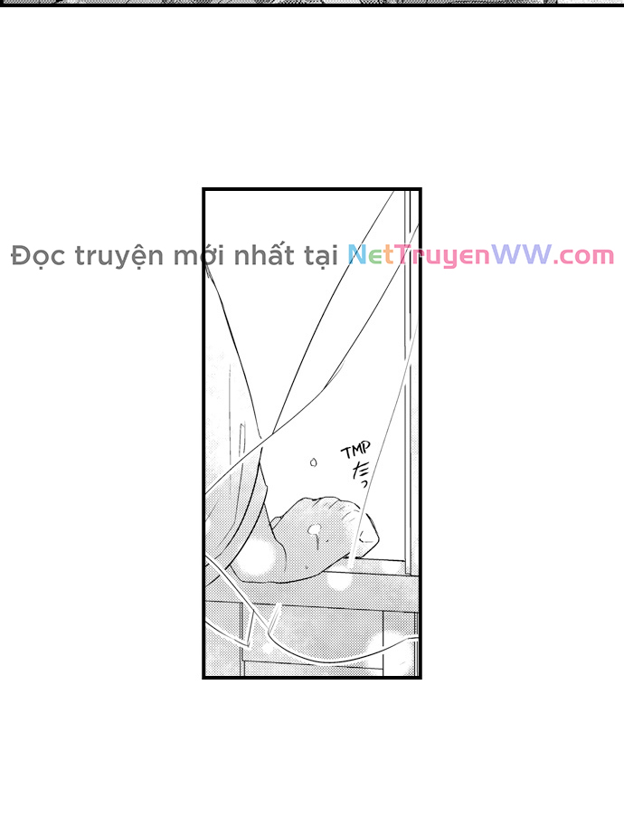 Ván Cược Tình Ái Chương 23 Ảnh 7