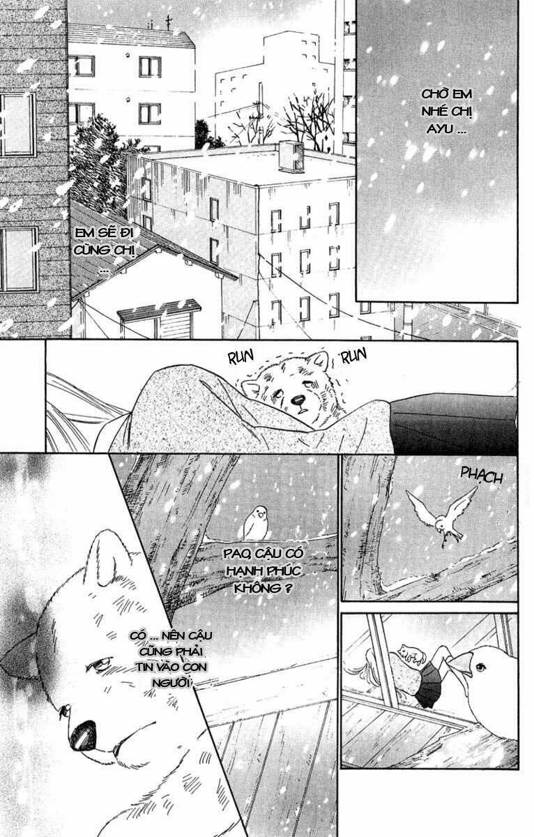 Deep Love - Pao No Monogatari Chương 11 Ảnh 34