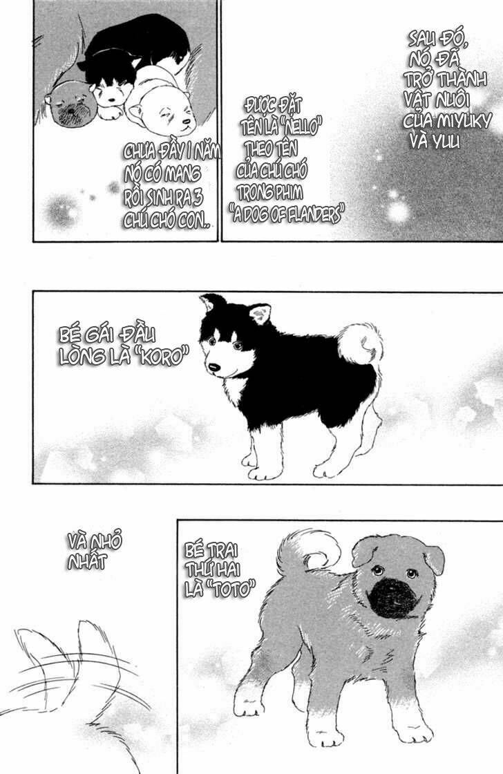 Deep Love - Pao No Monogatari Chương 1 Ảnh 12