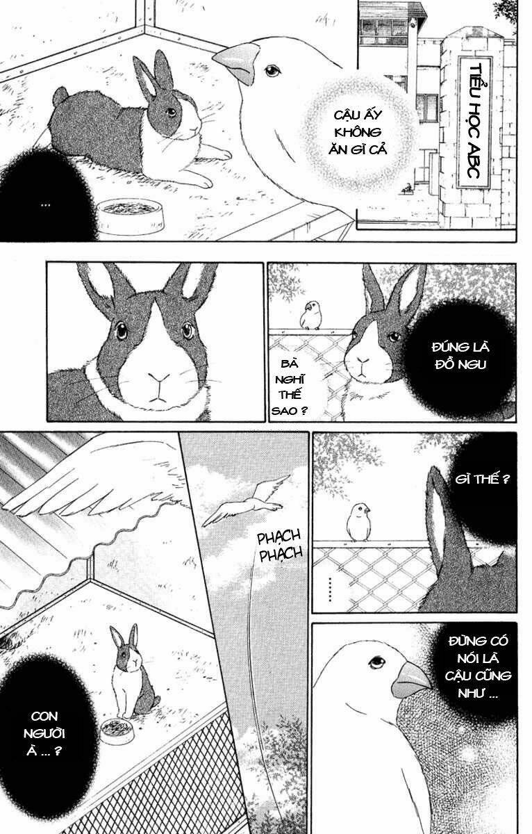 Deep Love - Pao No Monogatari Chương 11 Ảnh 12