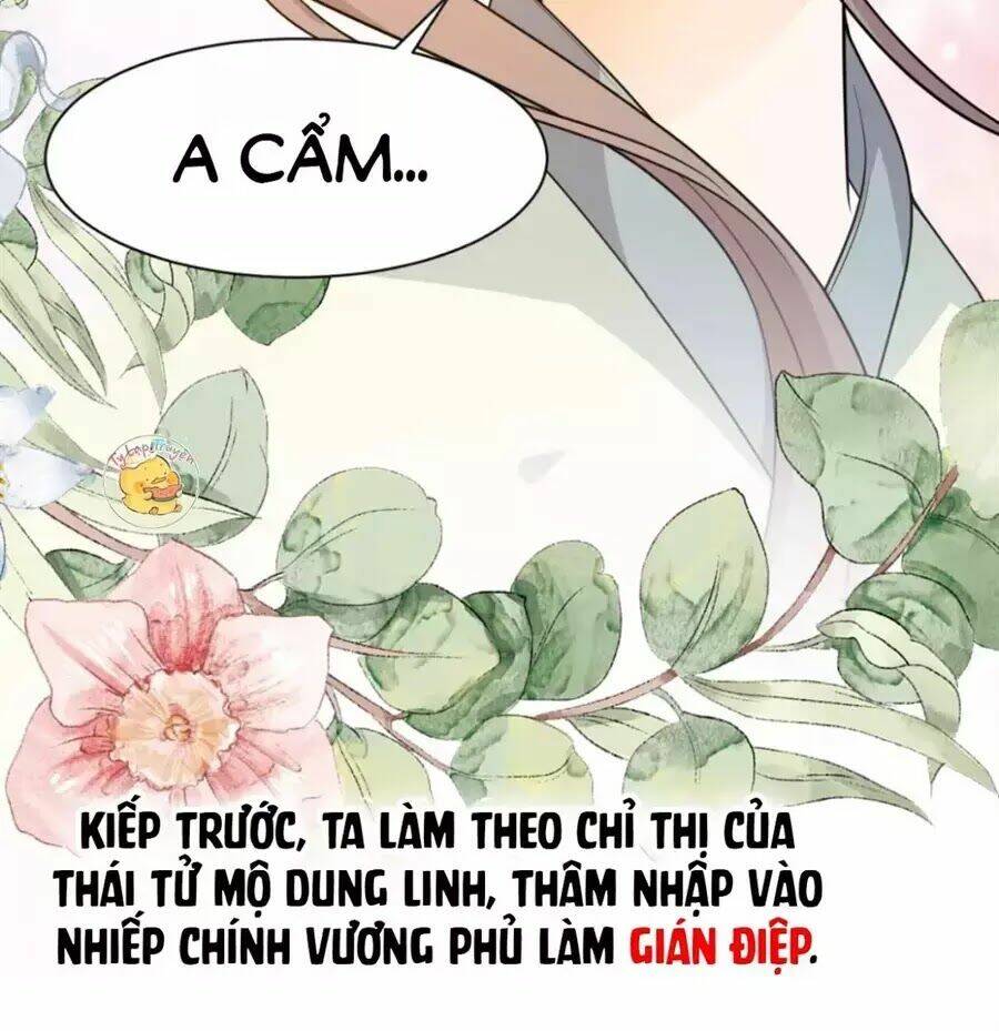Trùng Sinh Chuyên Sủng Độc Phi Của Nhiếp Chính Vương Chương 58 Ảnh 12