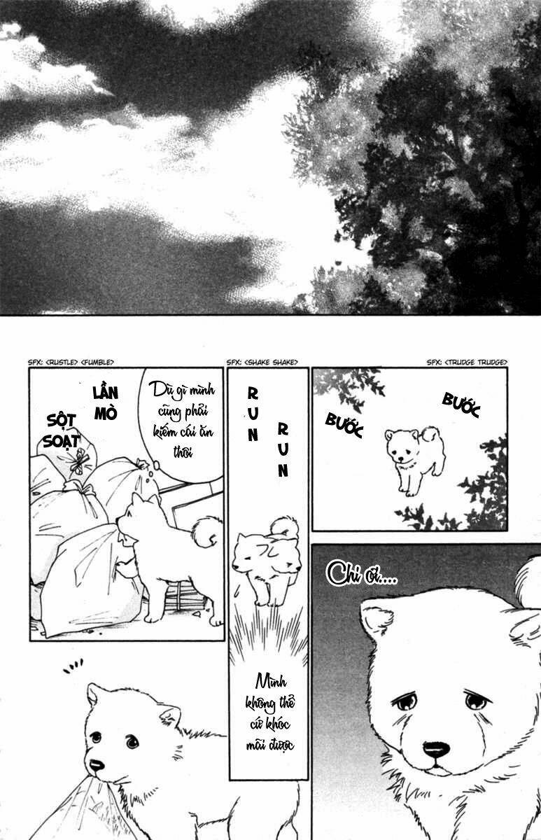Deep Love - Pao No Monogatari Chương 6 Ảnh 4