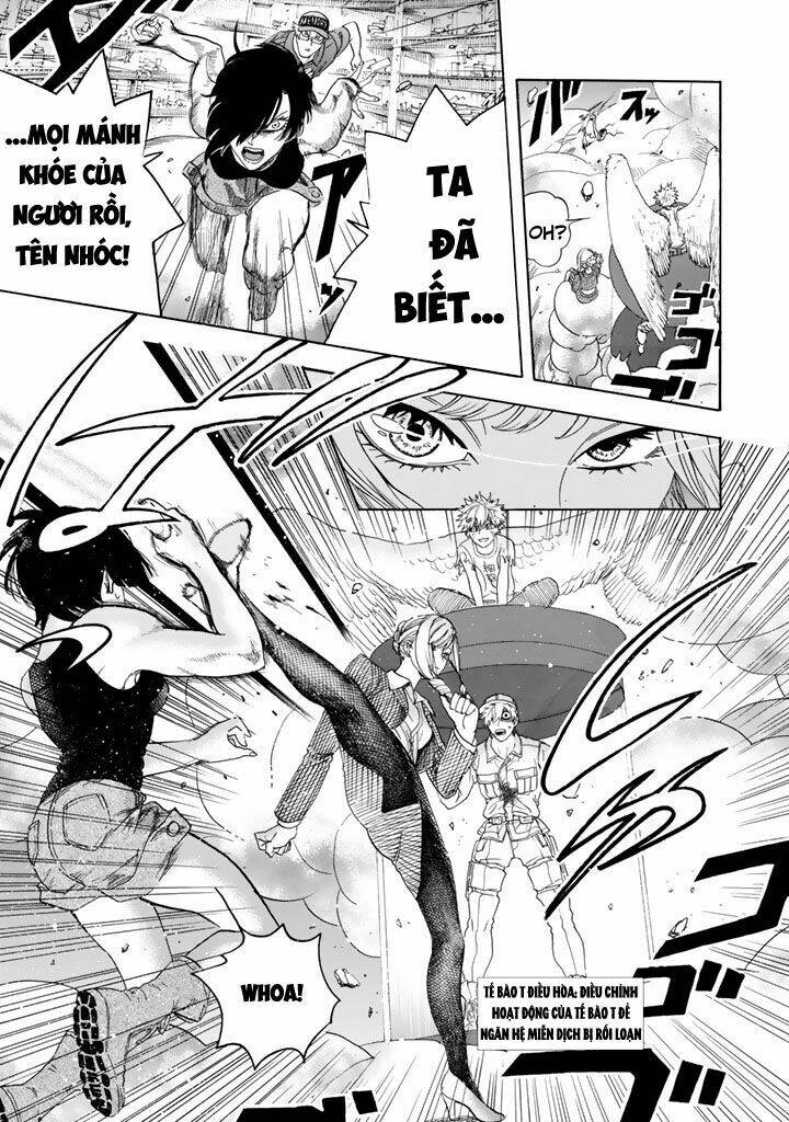 Hataraku Saibou ! Chương 25 Ảnh 4