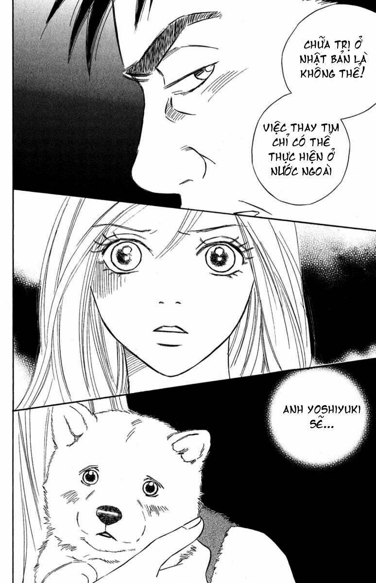 Deep Love - Pao No Monogatari Chương 9 Ảnh 23
