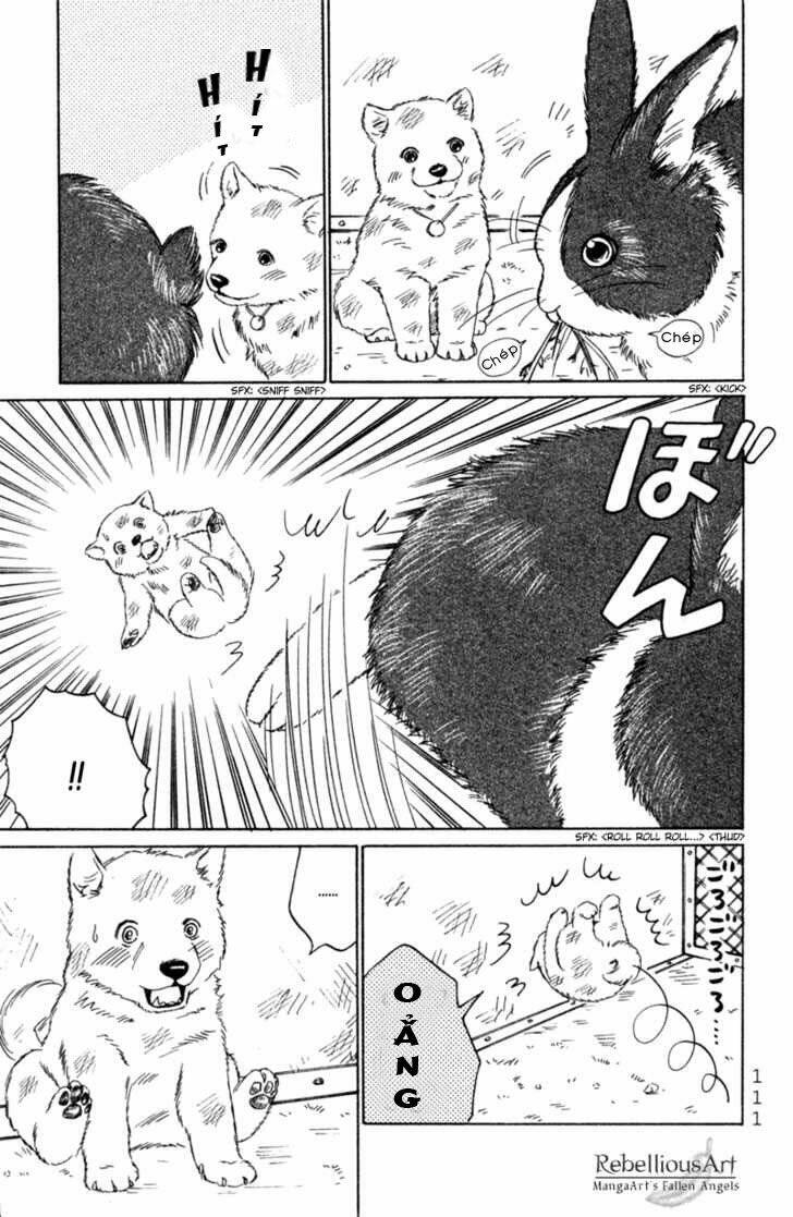 Deep Love - Pao No Monogatari Chương 4 Ảnh 9