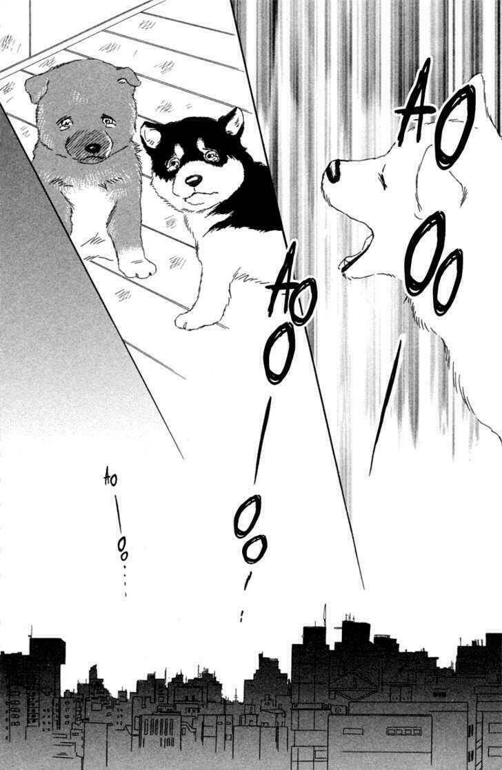 Deep Love - Pao No Monogatari Chương 1 Ảnh 26
