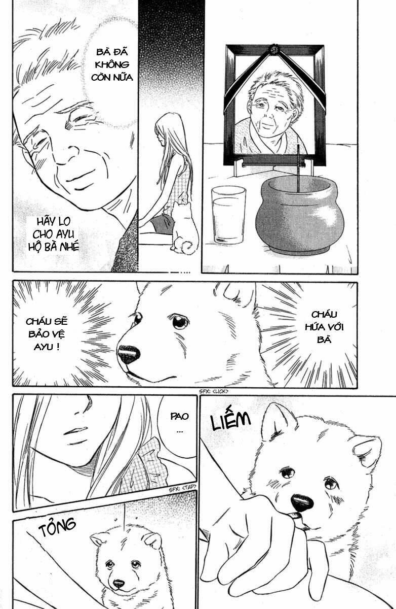 Deep Love - Pao No Monogatari Chương 8 Ảnh 34