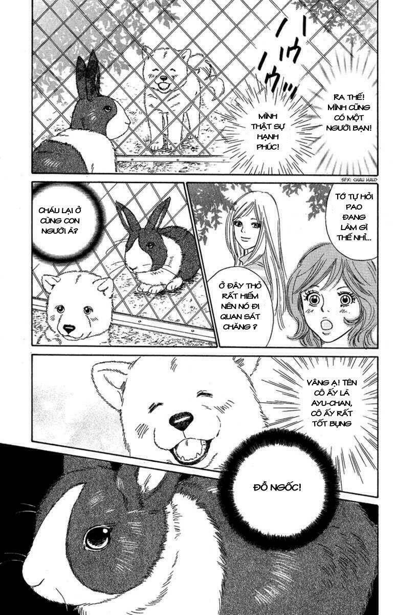 Deep Love - Pao No Monogatari Chương 7 Ảnh 43