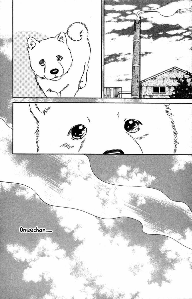 Deep Love - Pao No Monogatari Chương 5 Ảnh 30