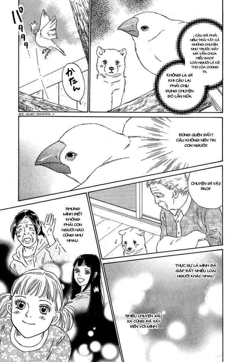 Deep Love - Pao No Monogatari Chương 7 Ảnh 27