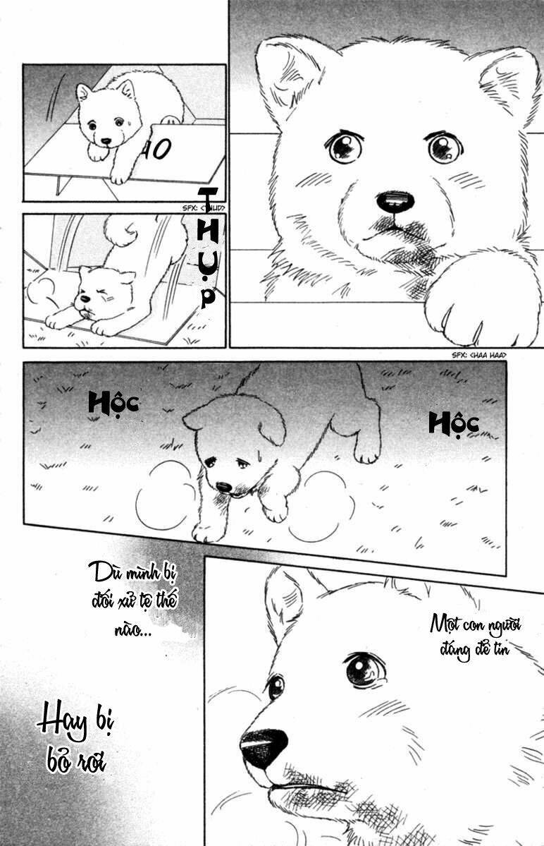 Deep Love - Pao No Monogatari Chương 6 Ảnh 34