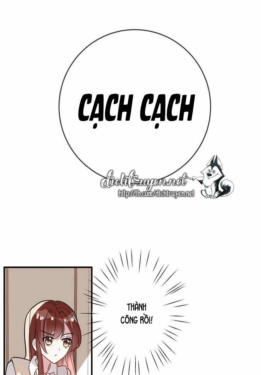 Em Là Bạc Hà Mèo Của Tôi Chương 50 Ảnh 27